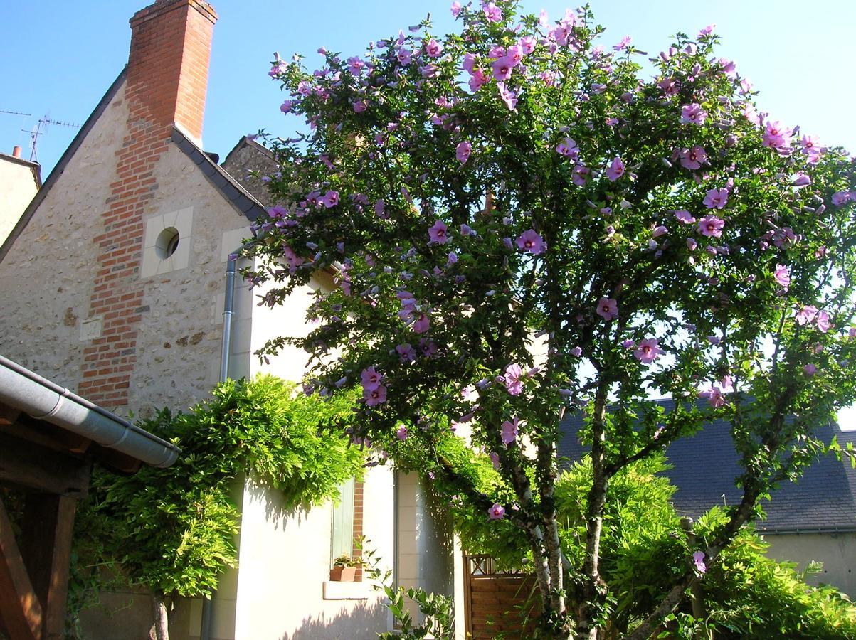 Monts Le Petit Jardin Yoyo酒店 外观 照片